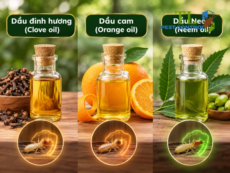 mối sợ mùi gì