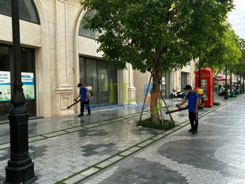 Trần Long là nơi cung cấp dịch vụ diệt mối Tân Phú uy tín, chuyên nghiệp và giá rẻ