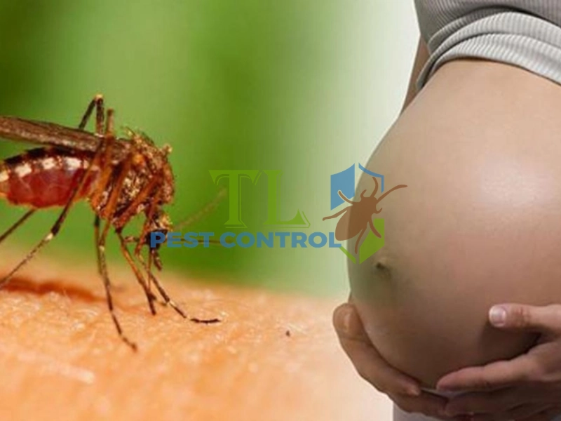 lí do bị muỗi đốt