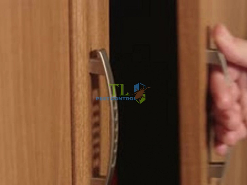 nhà có mối xông