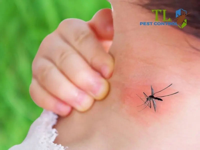 mẹo tránh muỗi đốt mẹo tránh muỗi đốt
