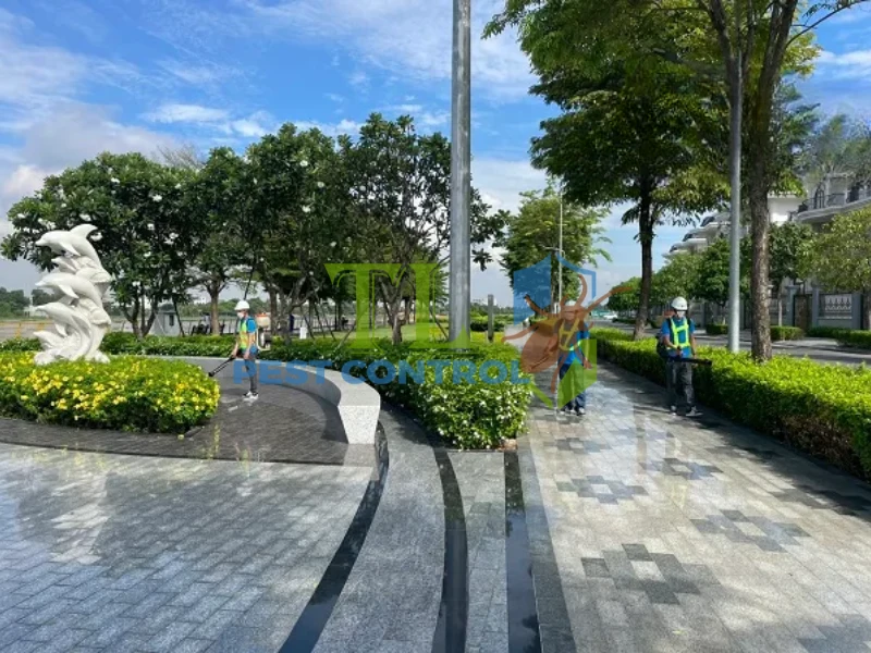 cách diệt mối sàn gỗ