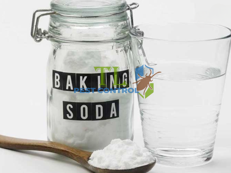 Diệt kiến bằng baking soda và đường
