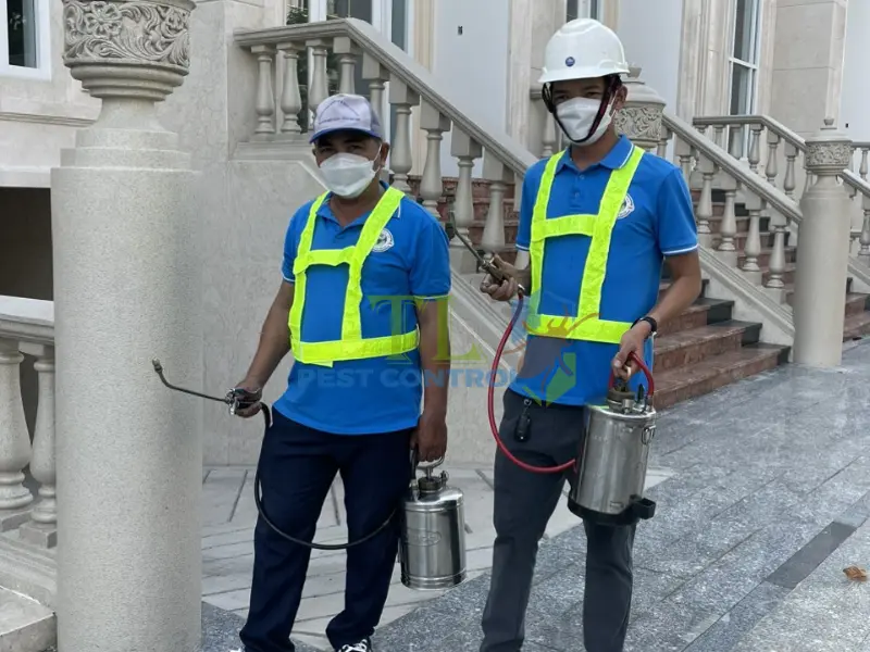 Dịch vụ kiểm soát muỗi chuyên nghiệp Trần Long