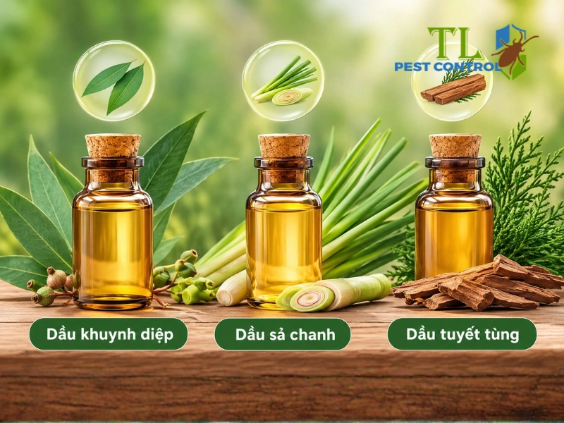 mối sợ mùi gì