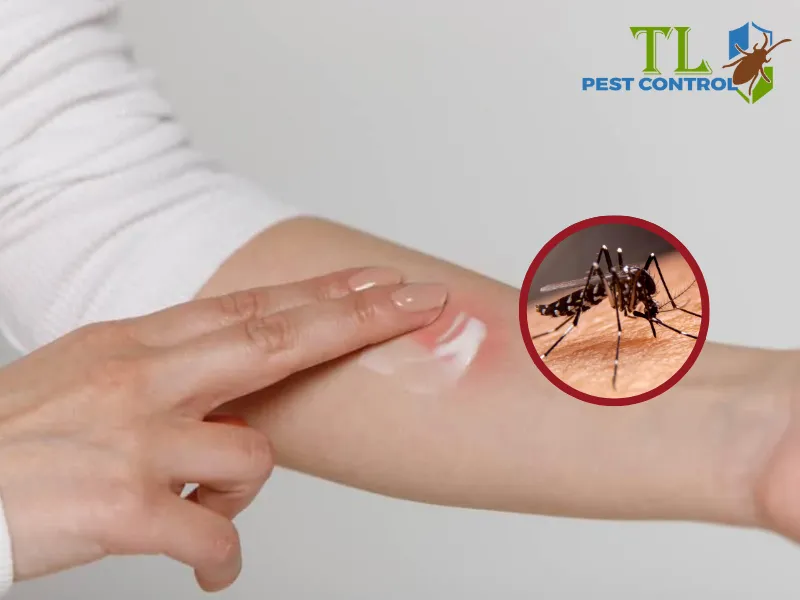 Dùng kem chống muỗi an toàn cho bà bầu
