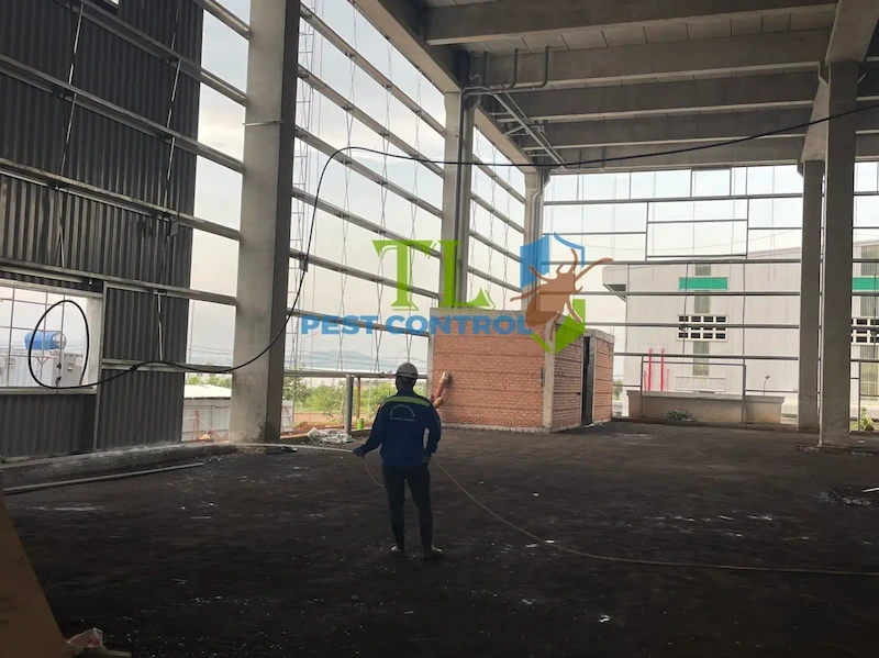 dịch vụ chống mối dịch vụ chống mối