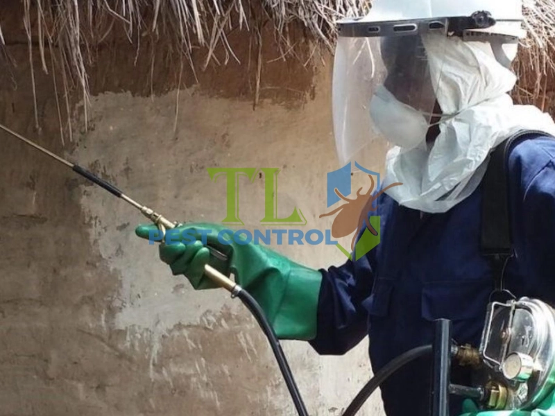 thuốc diệt mối đất