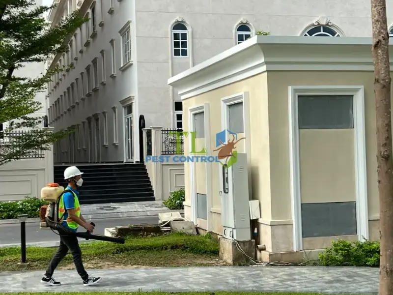 Trần Long là địa chỉ diệt mối Tân Bình uy tín, giá rẻ nhất hiện nay