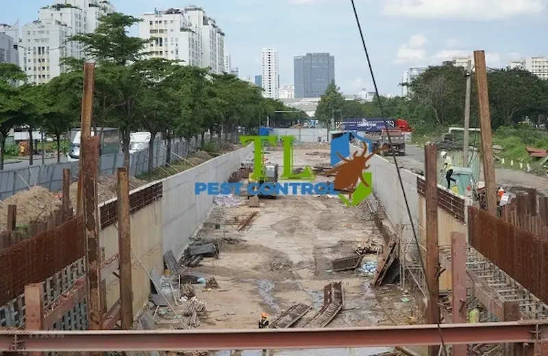 diệt mối móng nhà diệt mối móng nhà