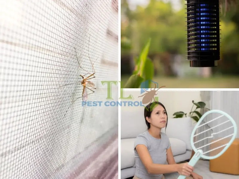 diệt muỗi cho căn hộ chung cư