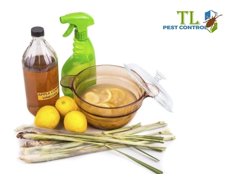 cách đuổi muỗi trong phòng bằng chanh