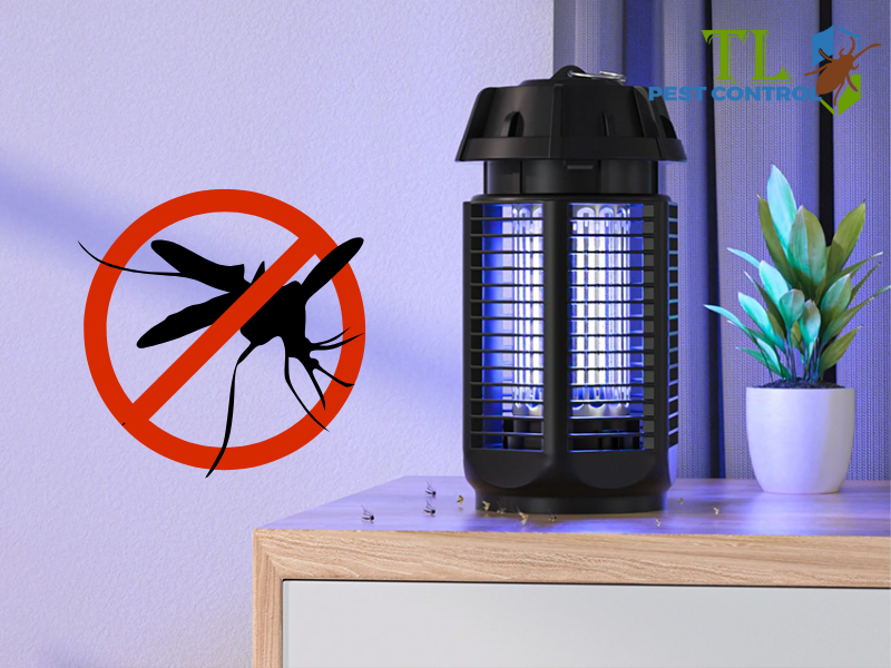 Đèn bắt muỗi UV