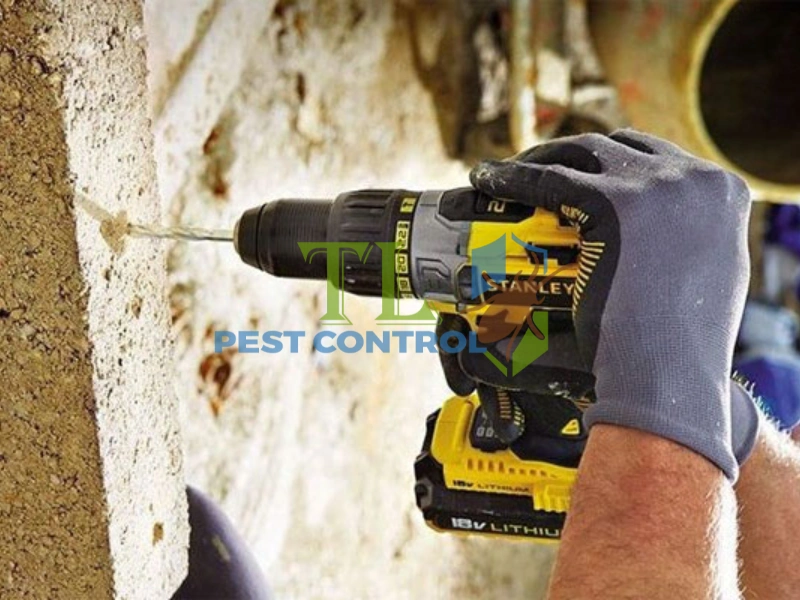 diệt mối trong tường nhà