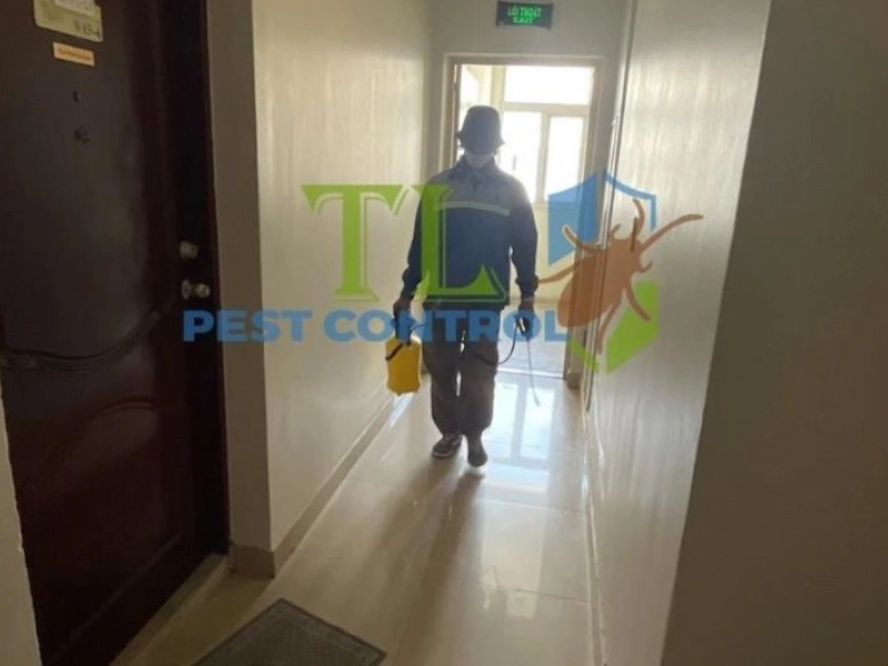 dịch vụ diệt ruồi