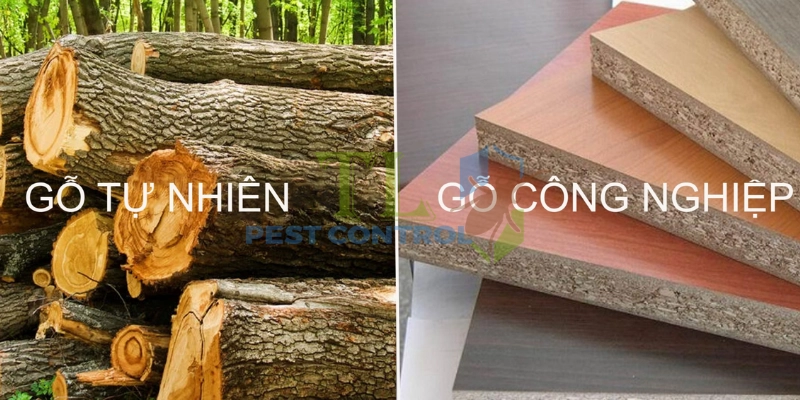 Khi nào nên chọn gỗ tự nhiên, khi nào nên chọn gỗ xử lý?