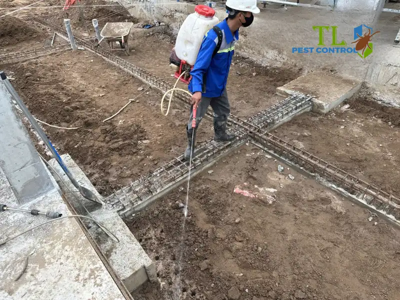 công ty diệt mối quận 9