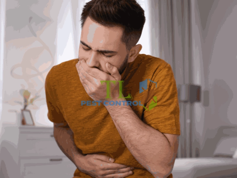 thuốc xịt kiến có độc không thuốc xịt kiến có độc không