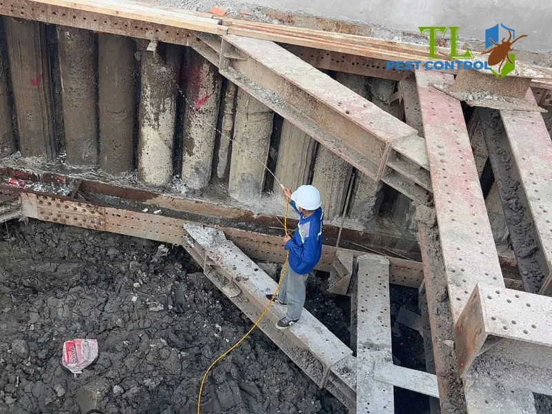 Phòng chống mối trước và sau khi xây