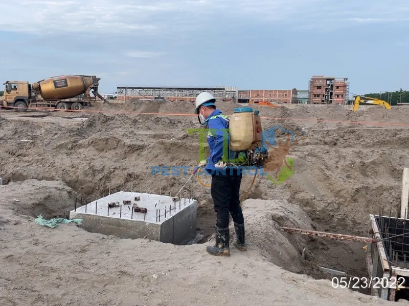 Quy trình triển khai diệt mối chuyên nghiệp