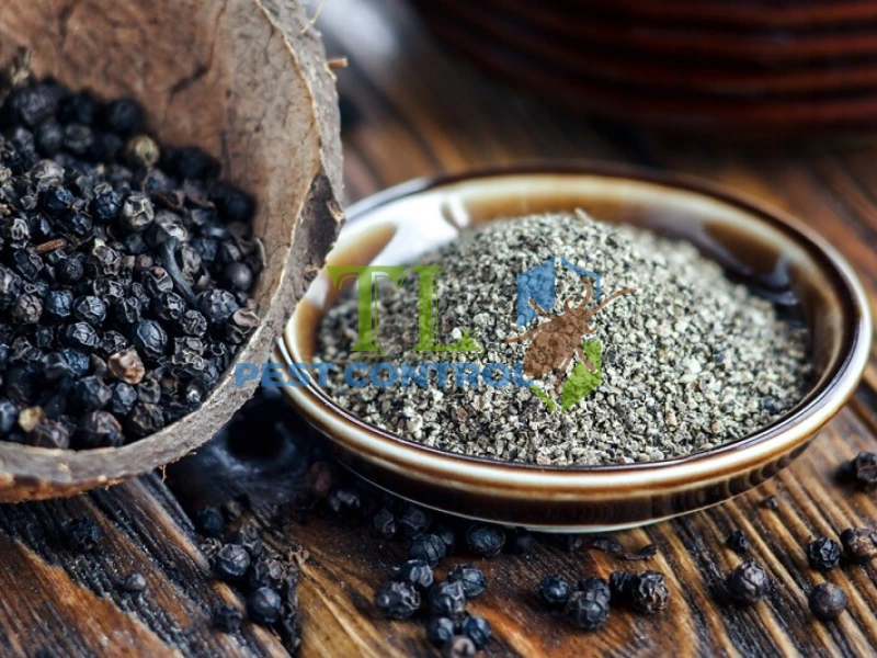 cách đuổi kiến ra khỏi đồ ăn