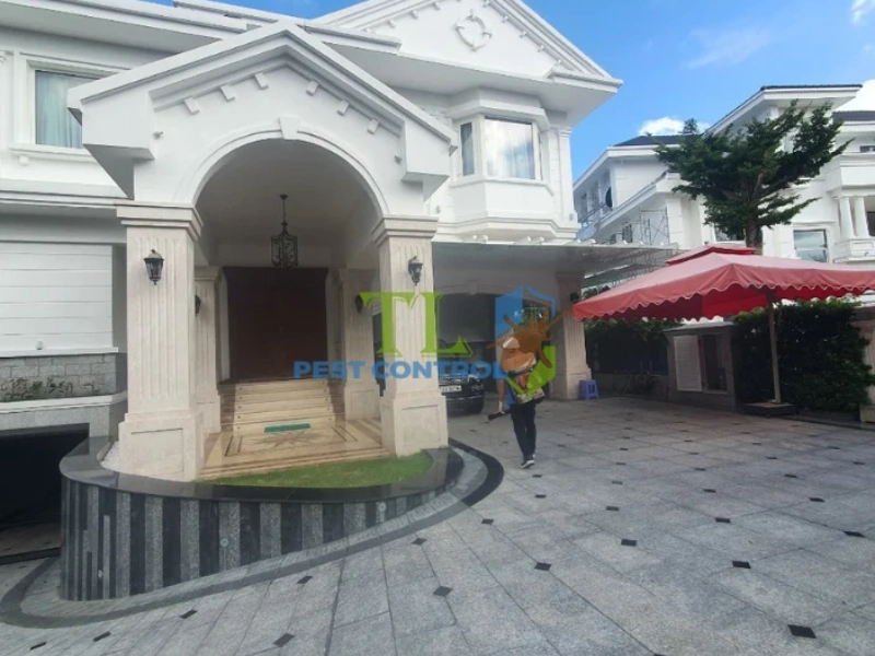 dịch vụ diệt mối công ty