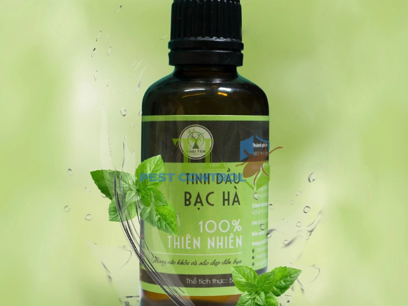 cách đuổi ruồi trong phòng ngủ cách đuổi ruồi trong phòng ngủ