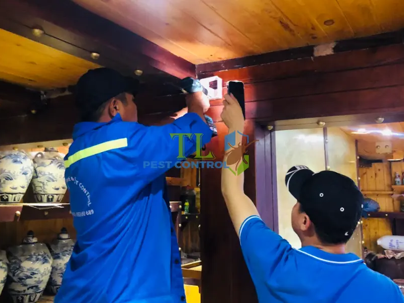 Quy trình 5 bước diệt mối chuyên nghiệp tại Phường Chánh Hưng của Trần Long