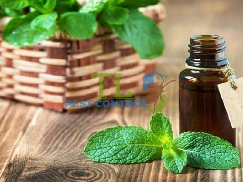 cách làm tinh dầu đuổi muỗi