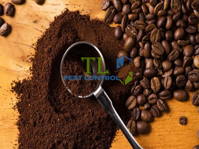 Mùi hương mạnh và tính axit của bã cà phê làm kiến khó chịu và tránh xa