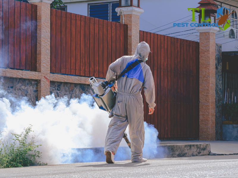 Khảo sát địa điểm và chọn hóa chất phun diệt muỗi phù hợp