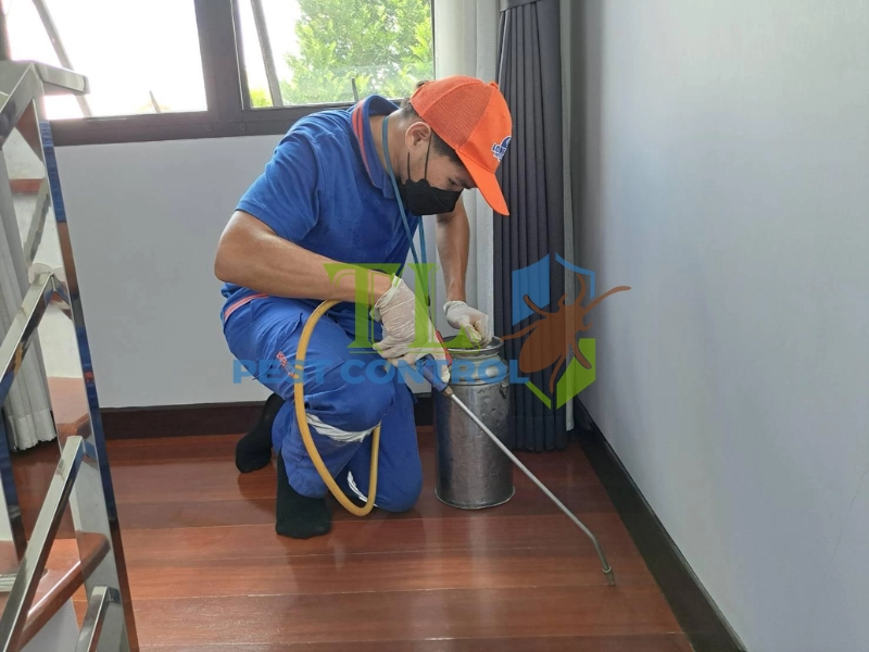 thuốc diệt mối altriset 200sc thuốc diệt mối altriset 200sc