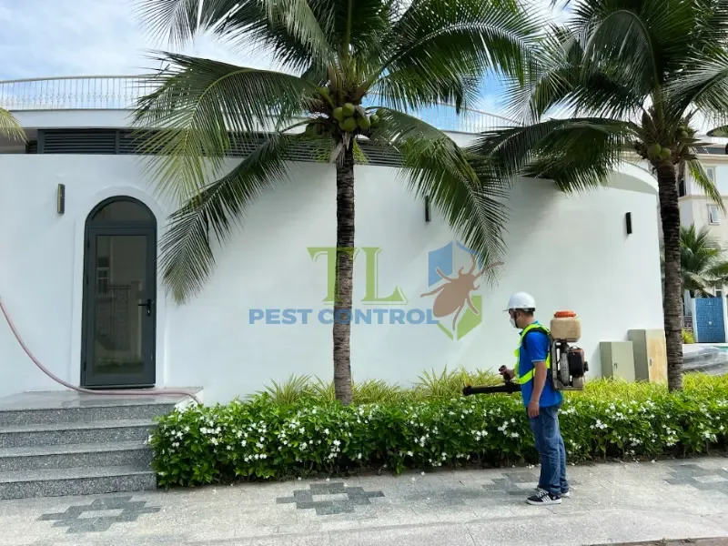 công ty diệt mối bình thạnh công ty diệt mối bình thạnh