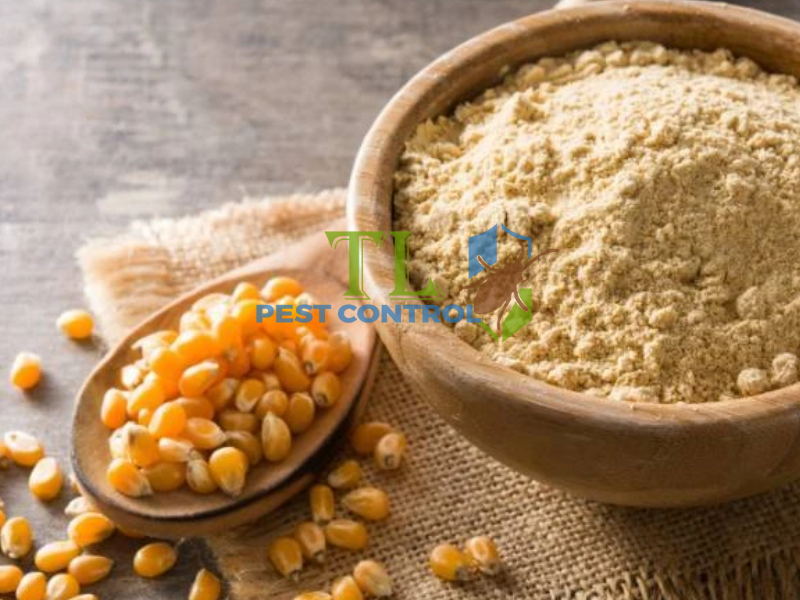Diệt kiến bằng bột ngô