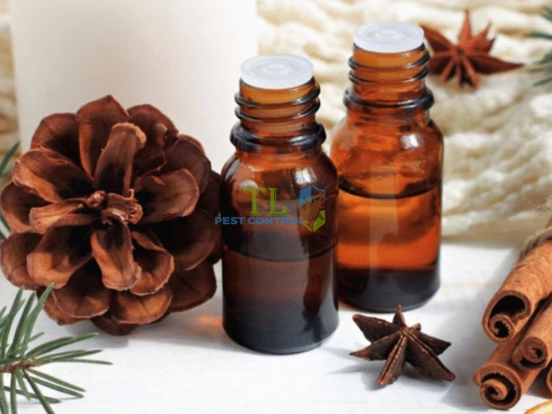 tinh dầu đuổi kiến ba khoang tinh dầu đuổi kiến ba khoang