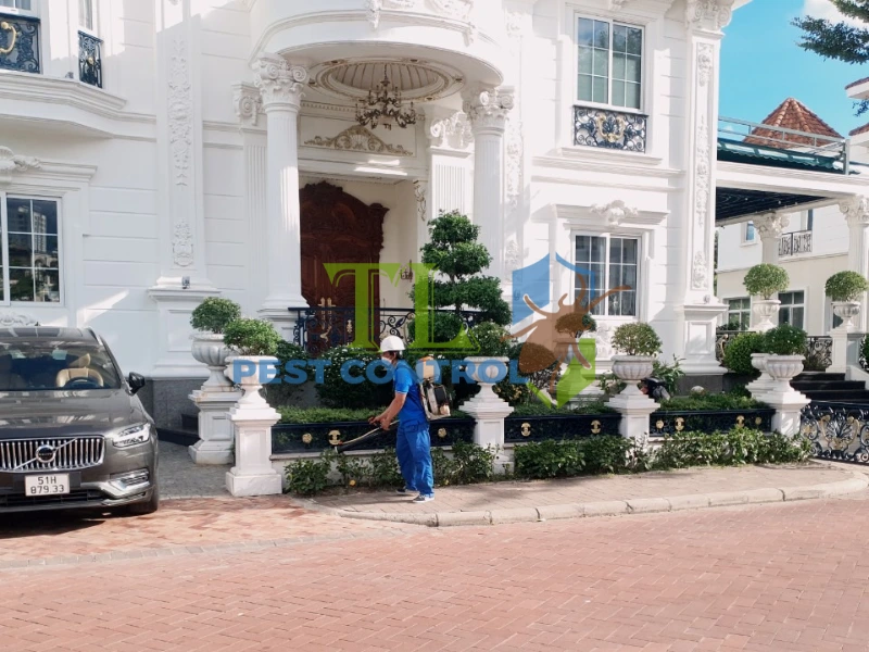 diệt mối tại quận 7