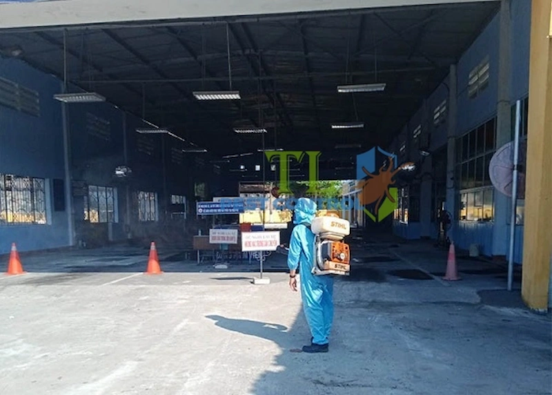 diệt mối gò vấp diệt mối gò vấp