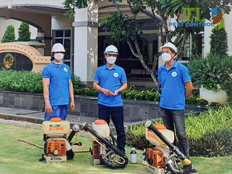 Dịch vụ diệt muỗi chuyên nghiệp Trần Long