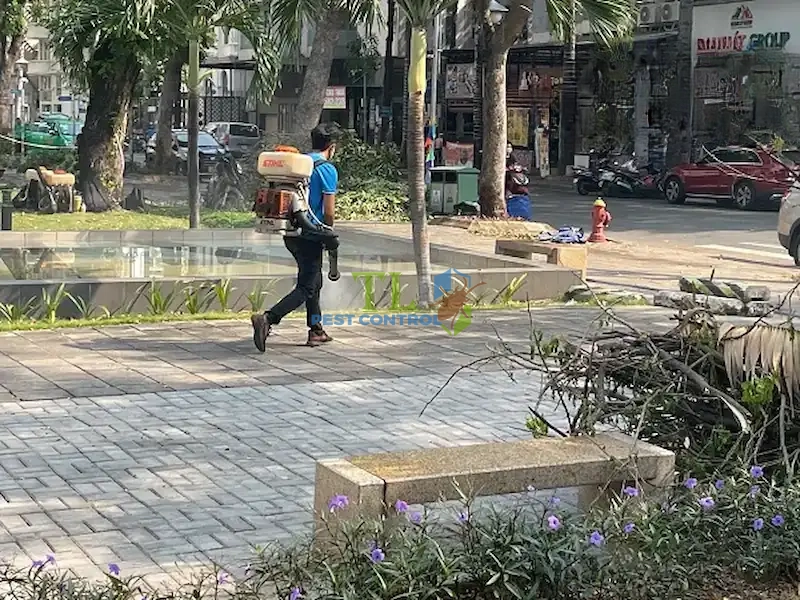 dịch vụ phun muỗi tại nhà dịch vụ phun muỗi tại nhà