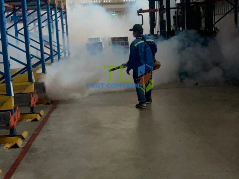 dịch vụ xịt muỗi