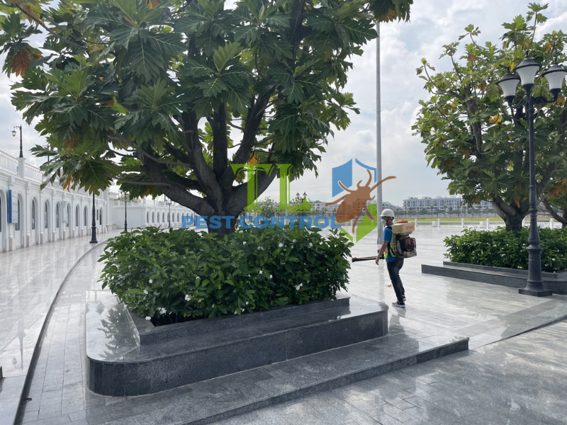 Phun phòng chống mối cho công trình xây mới và đang sử dụng tại phường Vĩnh Hội