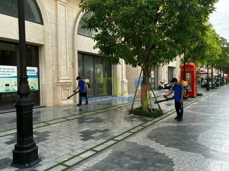 Diệt muỗi an toàn cùng đơn vị uy tín Trần Long