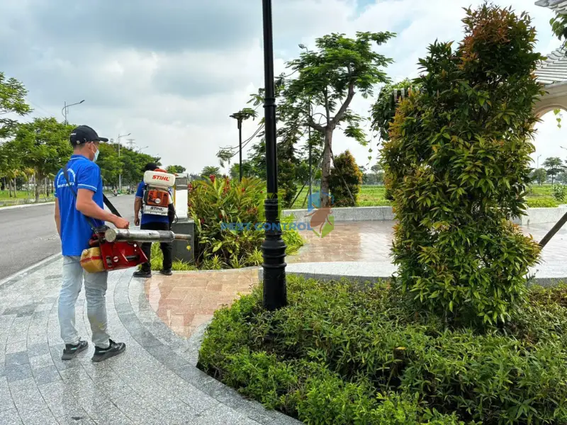 diệt kiến lửa trong đất