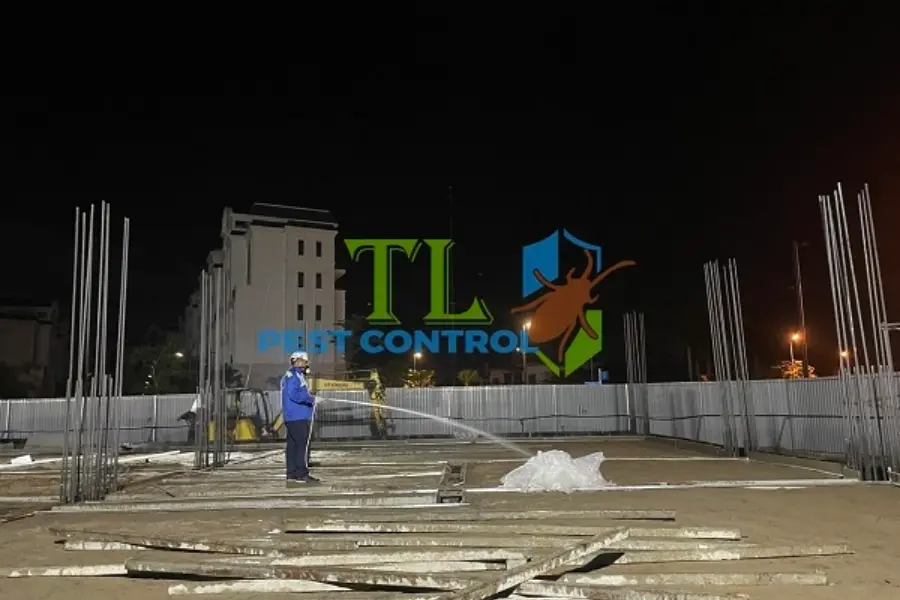 Diệt mối tại Tân Phú