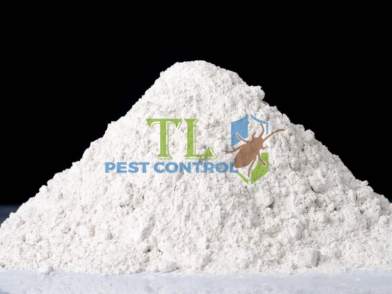 diệt mối tủ bếp