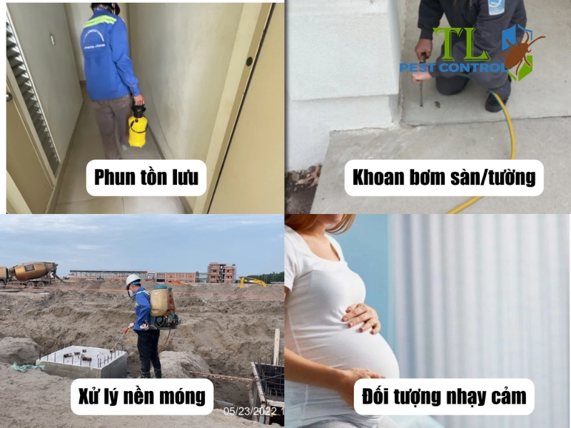diệt mối có cần ra khỏi nhà không