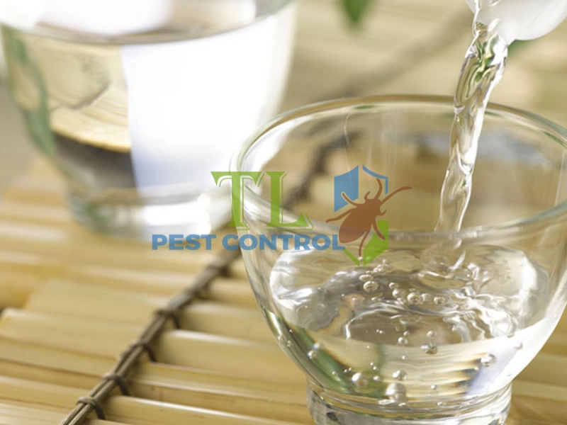 diệt mối trong tủ quần áo 