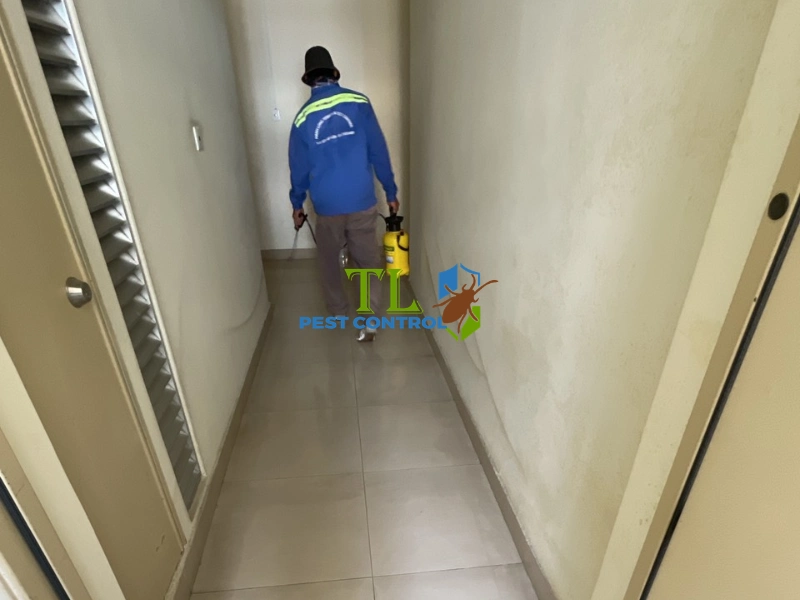 dịch vụ xịt muỗi tại nhà