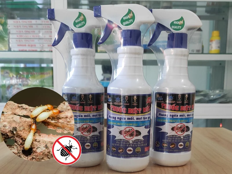 con mối gỗ khô