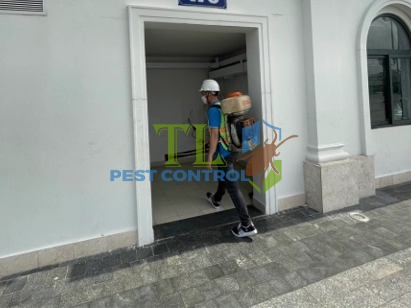 diệt mối quán cà phê diệt mối quán cà phê